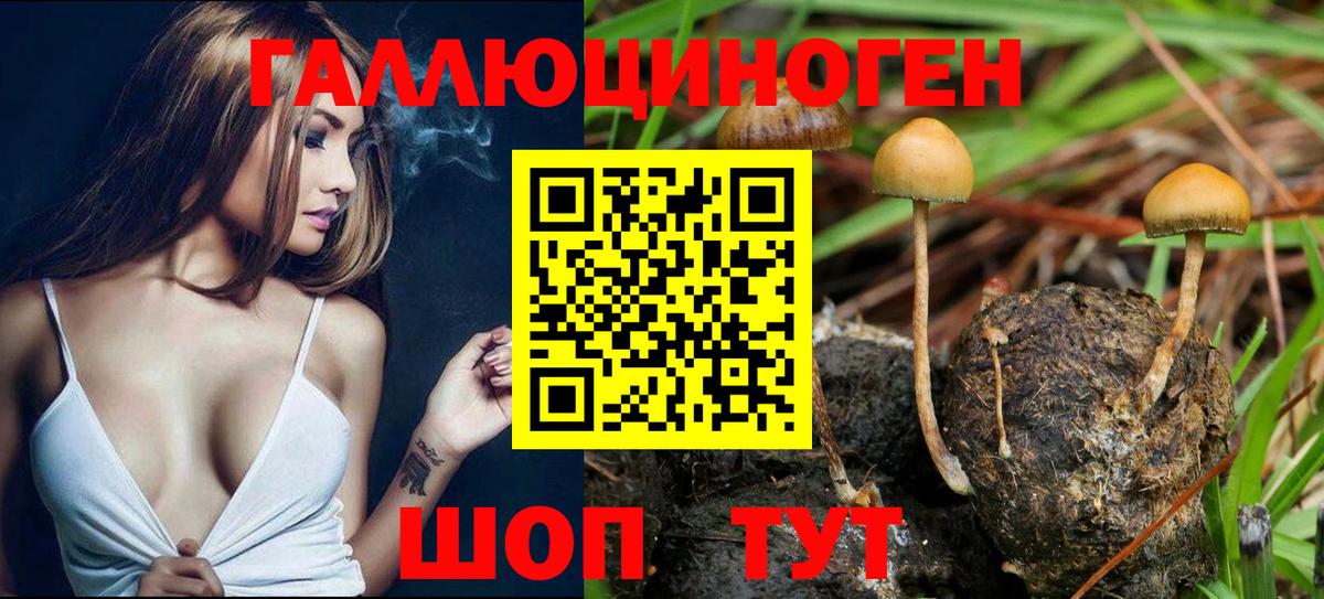 Псилоцибиновые грибы Magic Shrooms  Вход с VPN  Шали 
